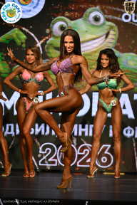Чемпионат ТЦ XL Мытищи