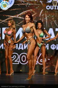 Чемпионат ТЦ XL Мытищи