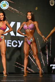 Чемпионат ТЦ XL Мытищи