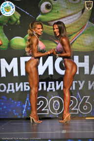 Чемпионат ТЦ XL Мытищи