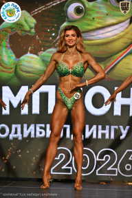 Чемпионат ТЦ XL Мытищи