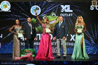 Чемпионат ТЦ XL Мытищи