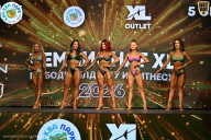 Чемпионат ТЦ XL Мытищи